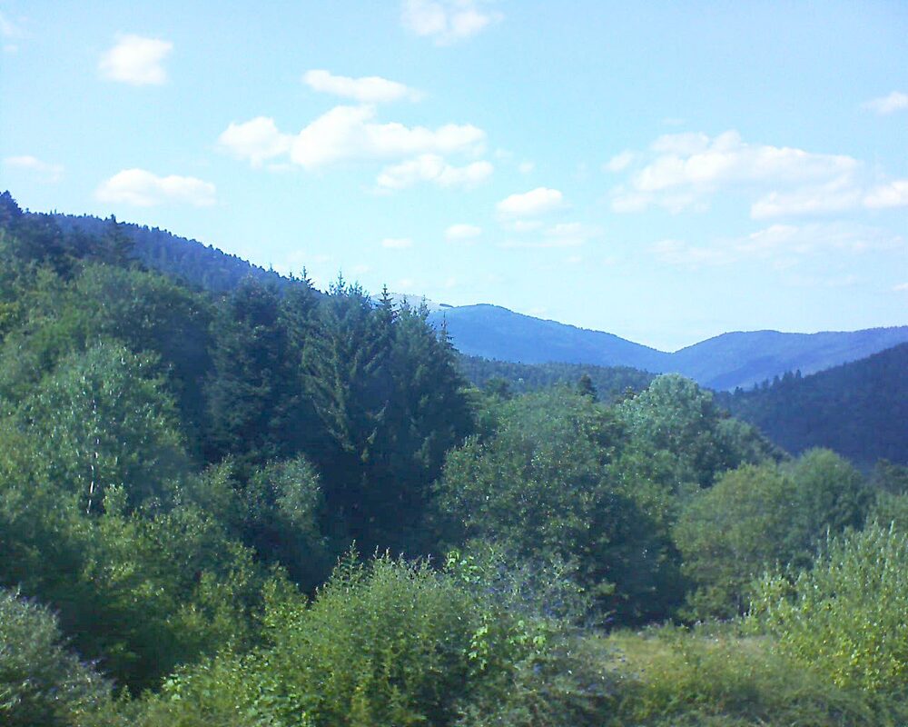 Le petit ballon (Alsace, Vosges) le 26.07.2026 à 16:30