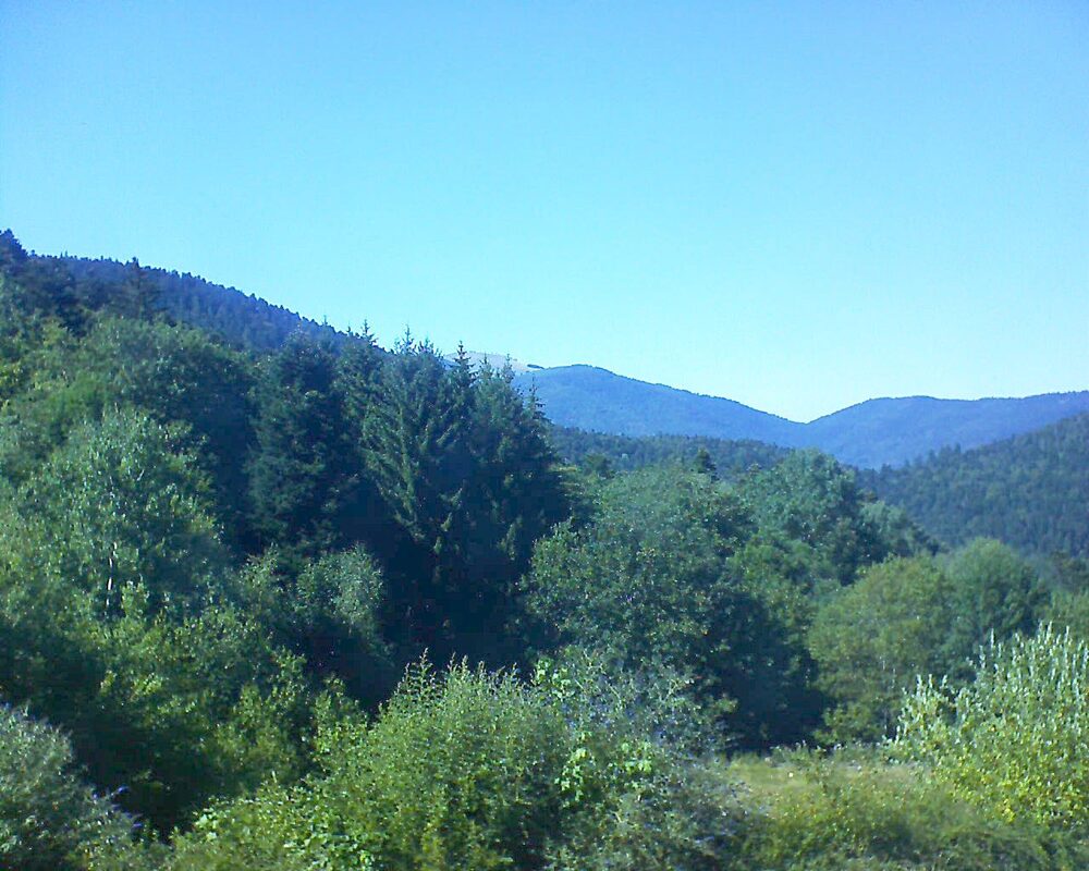 Le petit ballon (Alsace, Vosges) le 28.07.2026 à 16:30
