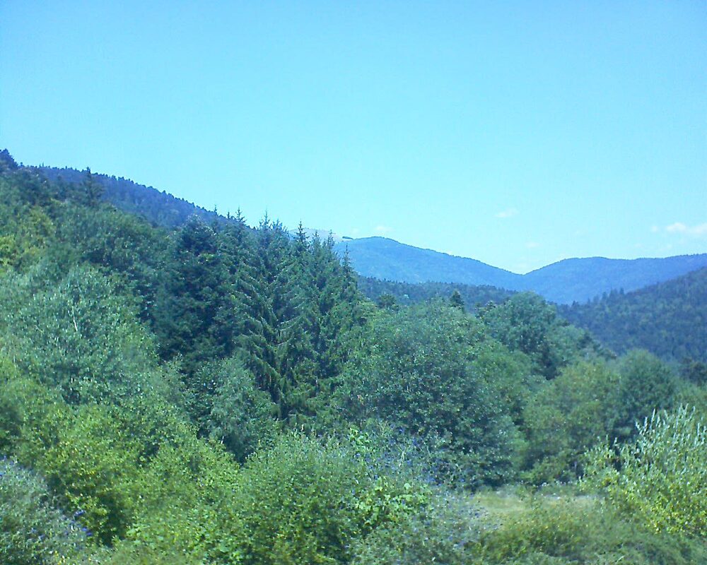 Le petit ballon (Alsace, Vosges) le 29.07.2026 à 13:30