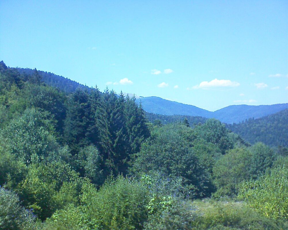 Le petit ballon (Alsace, Vosges) le 29.07.2026 à 15:30