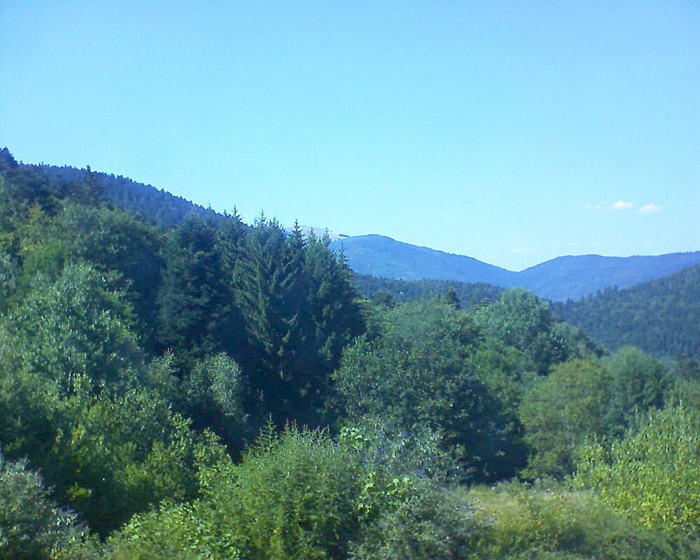 Le petit ballon (Alsace, Vosges) le 29.07.2026 à 16:15