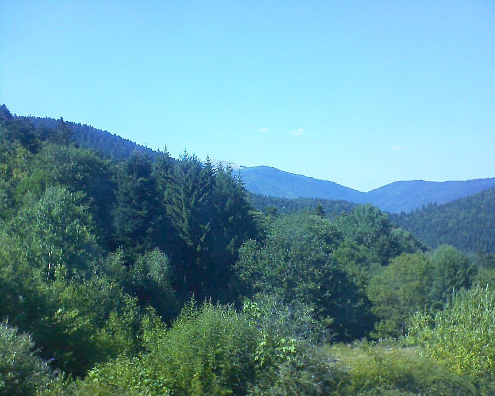 Le petit ballon (Alsace, Vosges) le 29.07.2026 à 16:30