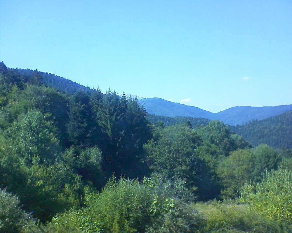 Le petit ballon vu depuis le Domaine Langmatt à Murbach le 29.07.2026 à 16:45 Le petit ballon (Alsace, Vosges) le 29.07.2026 à 16:45