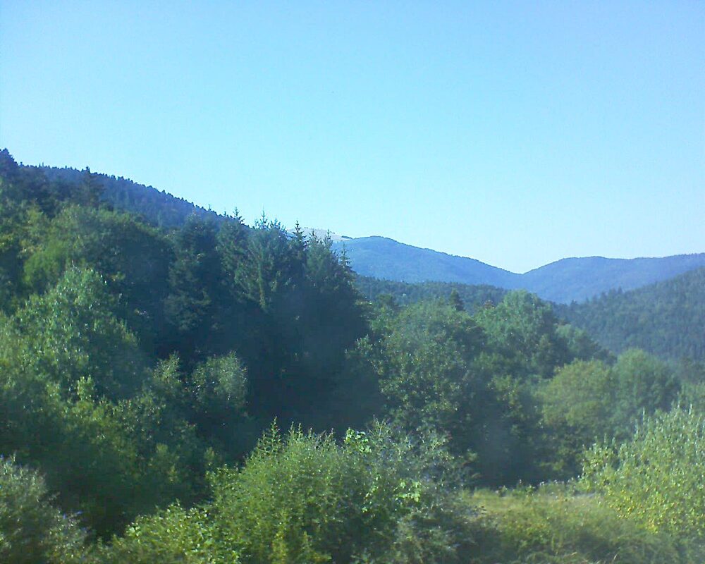 Le petit ballon (Alsace, Vosges) le 29.07.2026 à 17:30