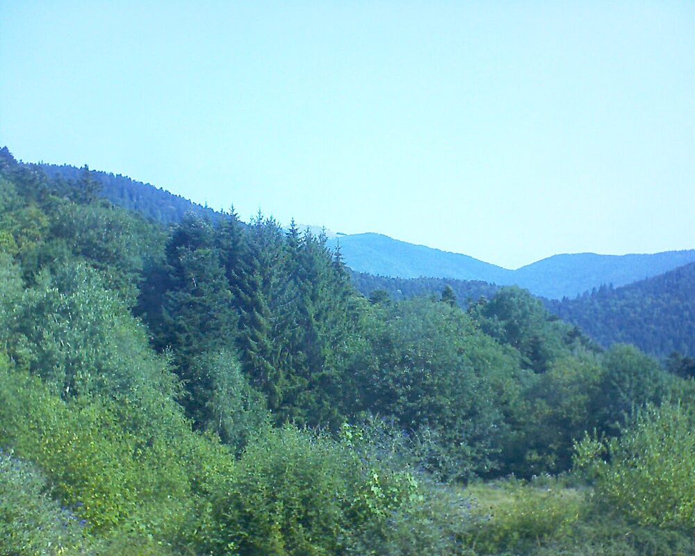 Le petit ballon vu depuis le Domaine Langmatt à Murbach le 30.07.2026 à 10:30 Le petit ballon (Alsace, Vosges) le 30.07.2026 à 10:30
