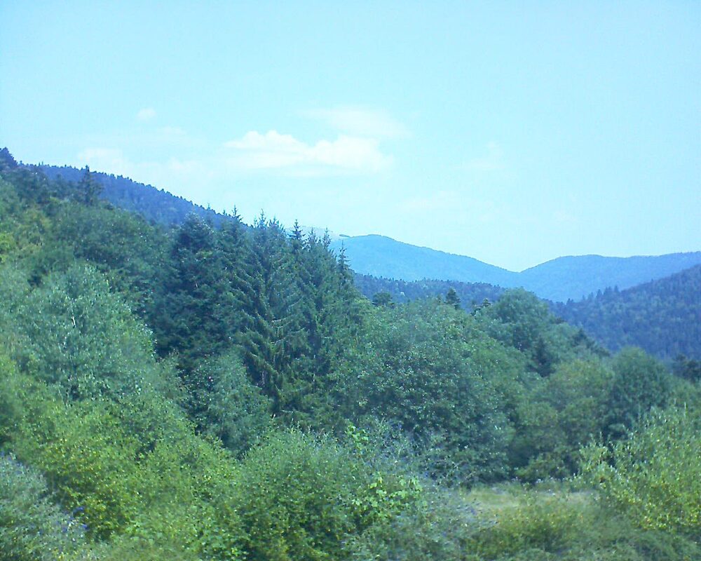 Le petit ballon (Alsace, Vosges) le 30.07.2026 à 12:30