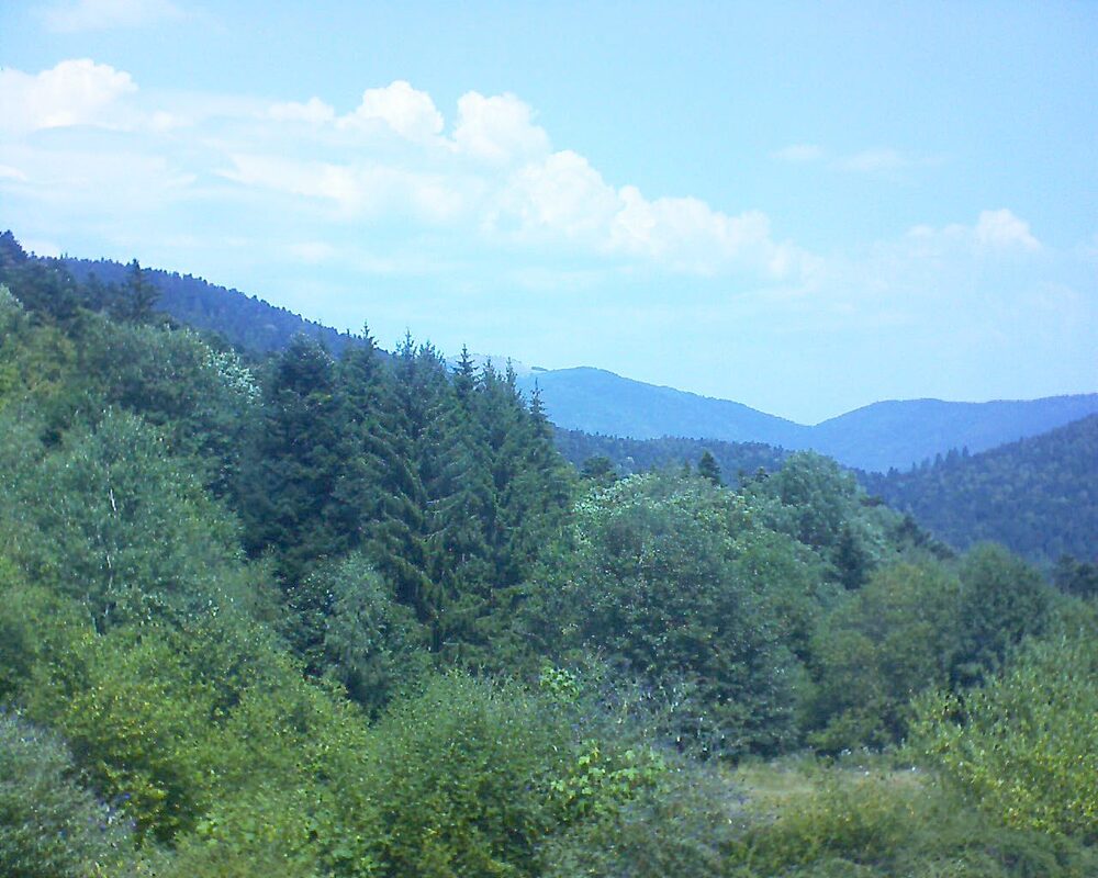 Le petit ballon vu depuis le Domaine Langmatt à Murbach le 30.07.2026 à 13:15 Le petit ballon (Alsace, Vosges) le 30.07.2026 à 13:15