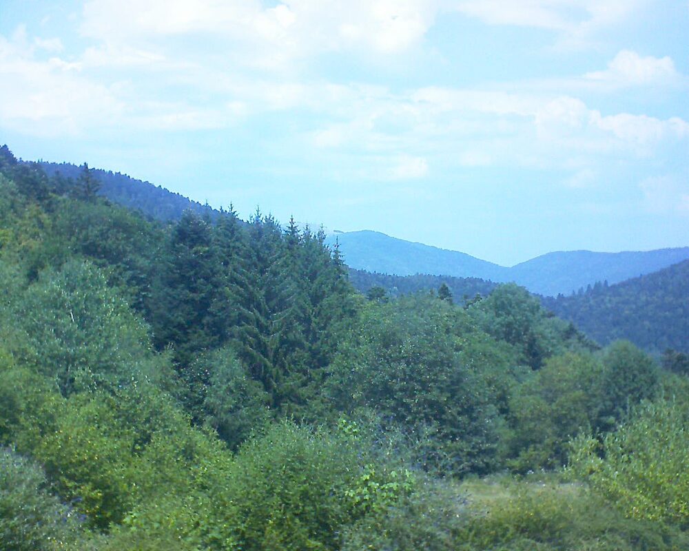 Le petit ballon vu depuis le Domaine Langmatt à Murbach le 30.07.2026 à 13:30 Le petit ballon (Alsace, Vosges) le 30.07.2026 à 13:30