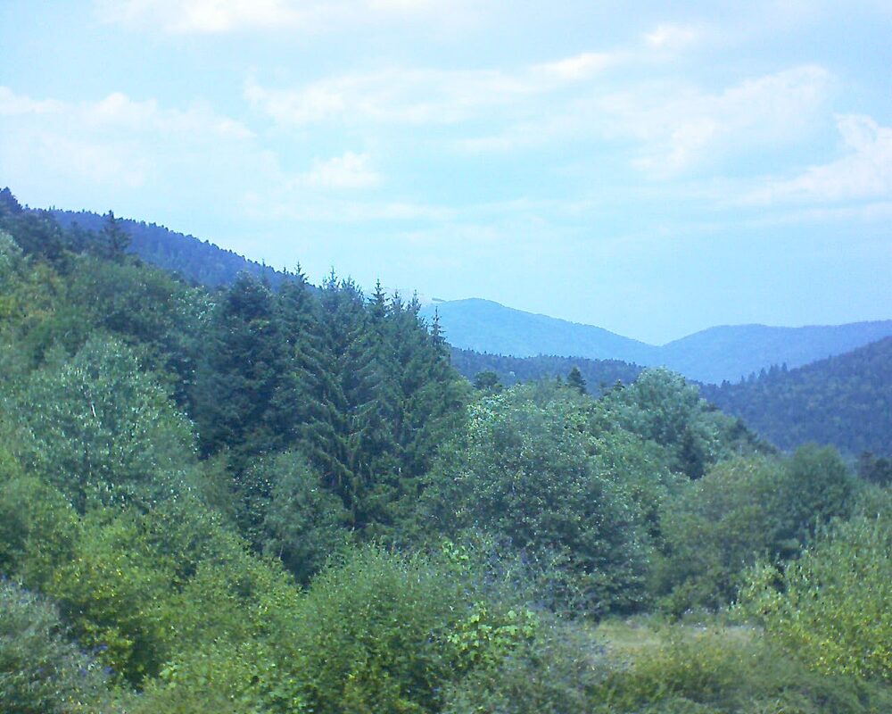 Le petit ballon vu depuis le Domaine Langmatt à Murbach le 30.07.2026 à 13:45 Le petit ballon (Alsace, Vosges) le 30.07.2026 à 13:45