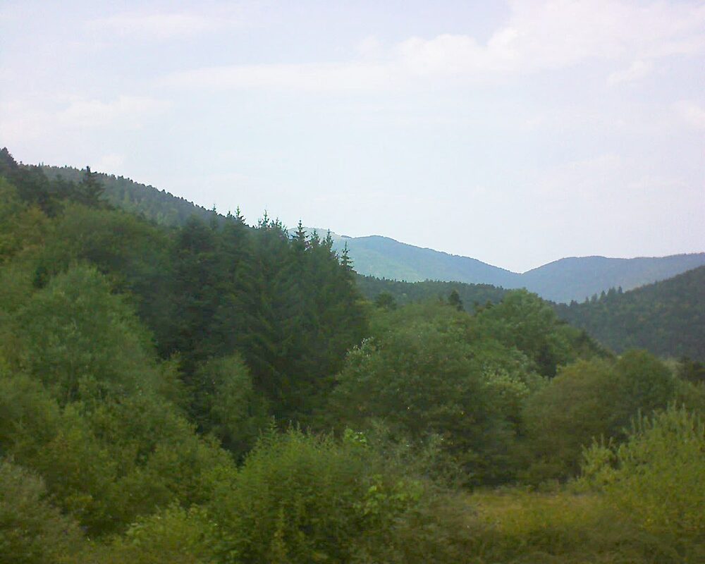 Le petit ballon (Alsace, Vosges) le 30.07.2026 à 14:30