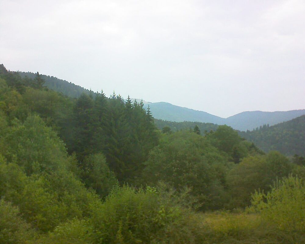 Le petit ballon (Alsace, Vosges) le 30.07.2026 à 16:30