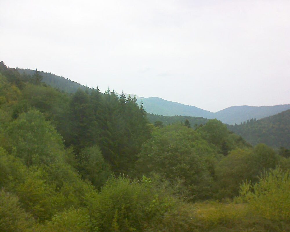 Le petit ballon (Alsace, Vosges) le 31.07.2026 à 13:30
