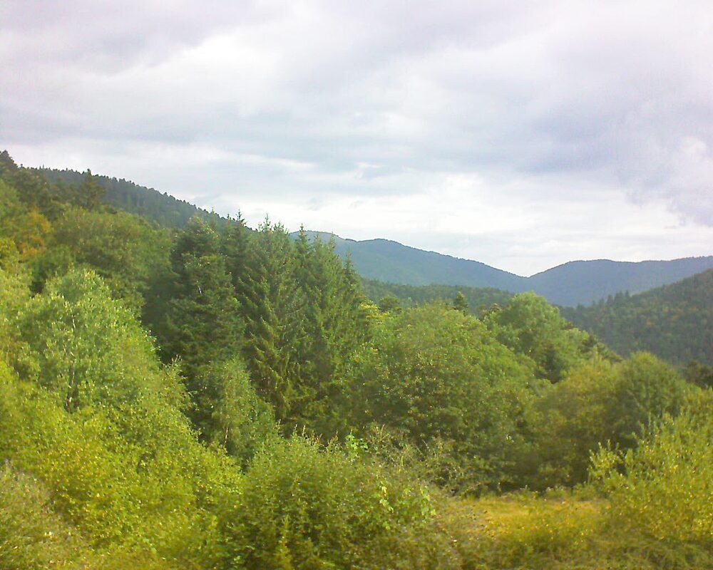 Le petit ballon vu depuis le Domaine Langmatt à Murbach le 01.08.2026 à 10:30 Le petit ballon (Alsace, Vosges) le 01.08.2026 à 10:30