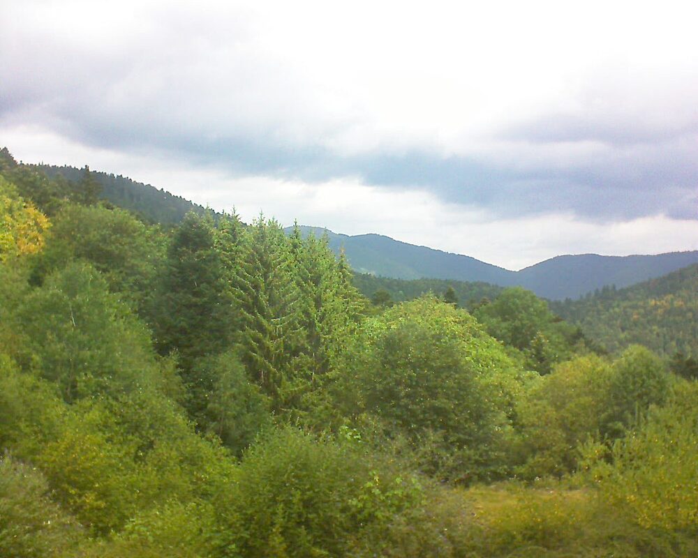 Le petit ballon vu depuis le Domaine Langmatt à Murbach le 01.08.2026 à 12:30 Le petit ballon (Alsace, Vosges) le 01.08.2026 à 12:30