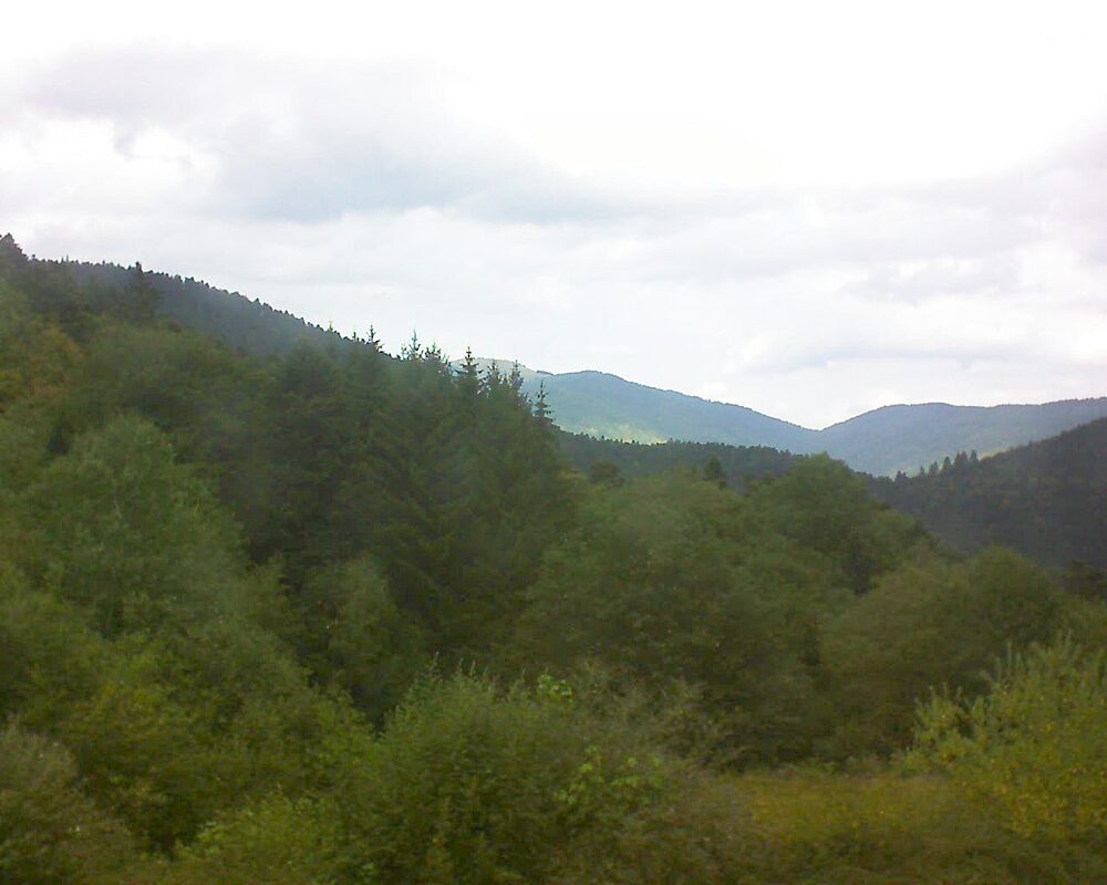 Le petit ballon vu depuis le Domaine Langmatt à Murbach le 01.08.2026 à 13:15 Le petit ballon (Alsace, Vosges) le 01.08.2026 à 13:15