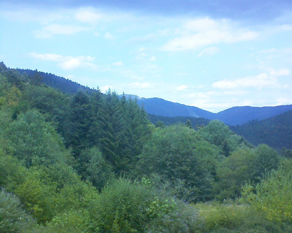 Le petit ballon vu depuis le Domaine Langmatt à Murbach le 01.08.2026 à 13:45 Le petit ballon (Alsace, Vosges) le 01.08.2026 à 13:45