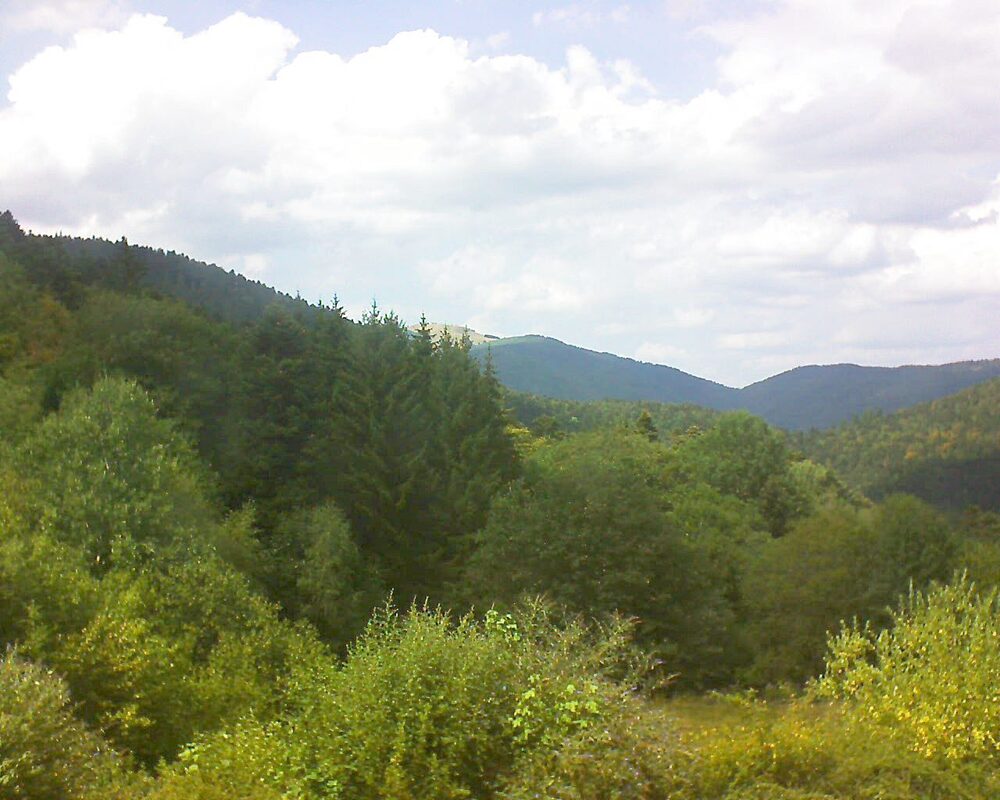 Le petit ballon (Alsace, Vosges) le 01.08.2026 à 15:30