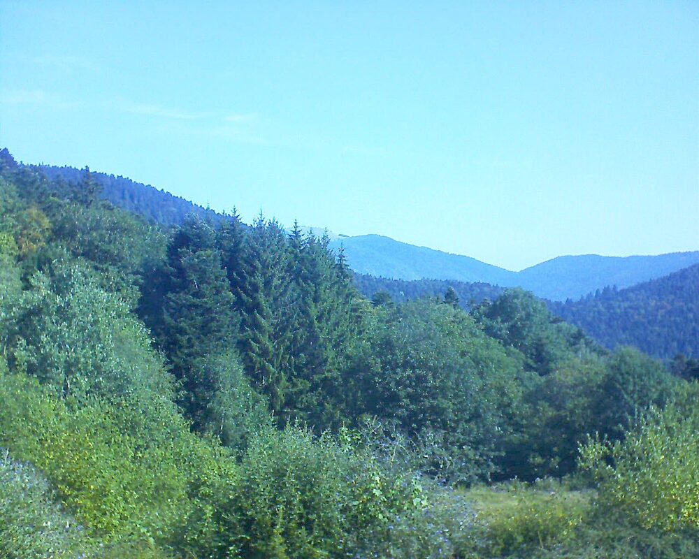 Le petit ballon (Alsace, Vosges) le 02.08.2026 à 10:15