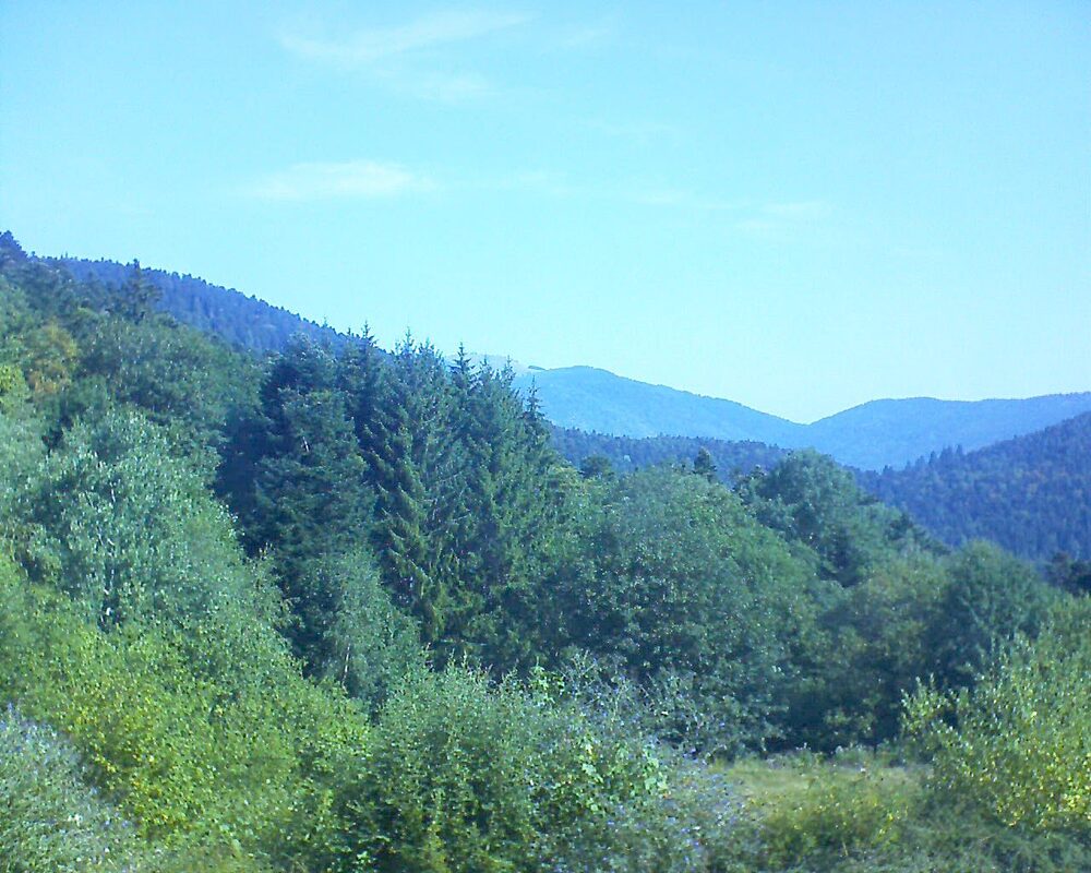 Le petit ballon (Alsace, Vosges) le 02.08.2026 à 10:30