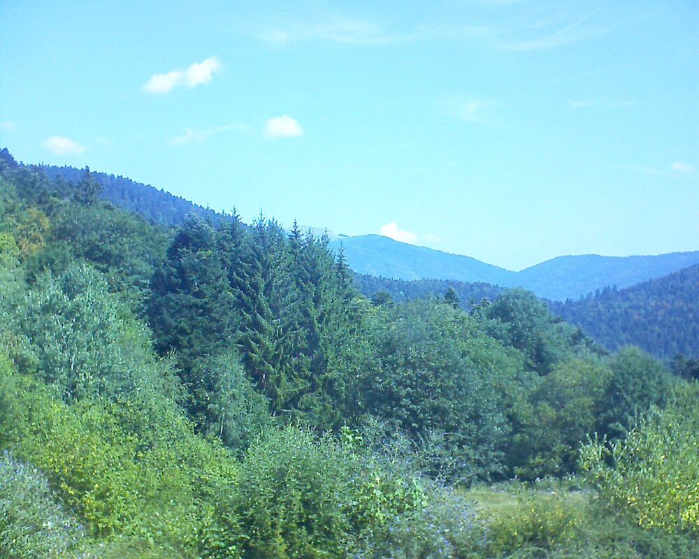 Le petit ballon (Alsace, Vosges) le 02.08.2026 à 11:30