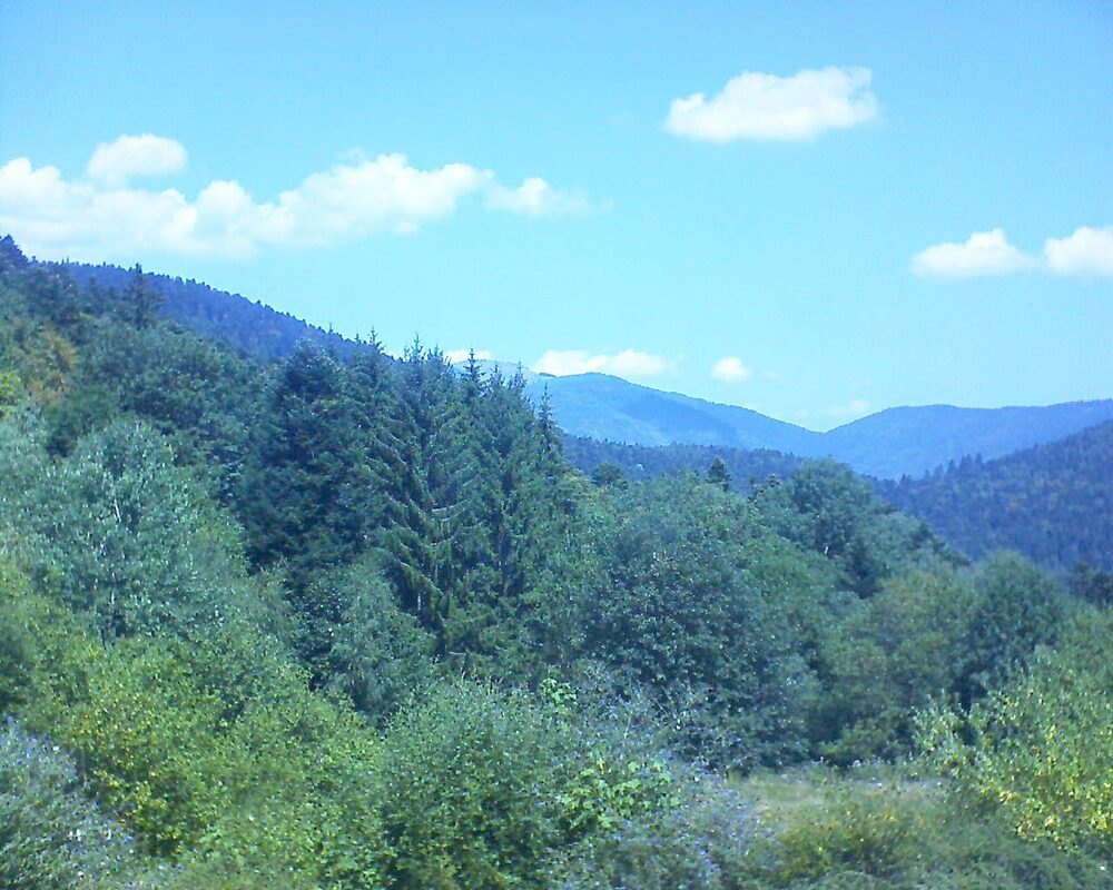 Le petit ballon vu depuis le Domaine Langmatt à Murbach le 02.08.2026 à 12:45 Le petit ballon (Alsace, Vosges) le 02.08.2026 à 12:45