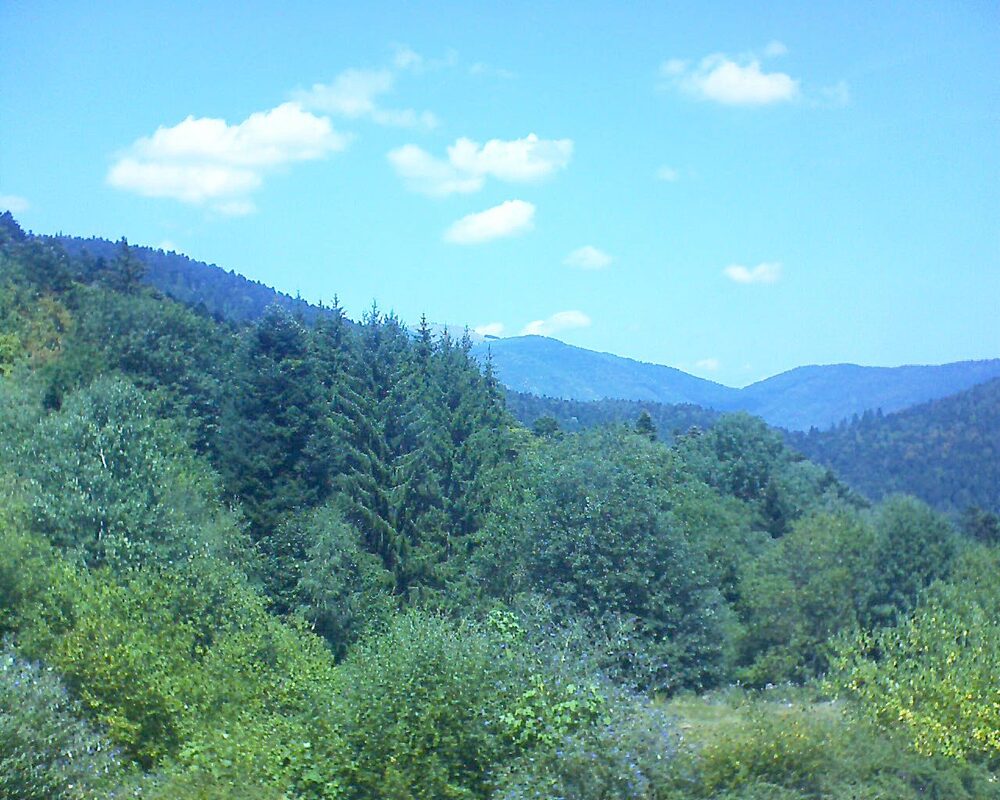Le petit ballon (Alsace, Vosges) le 02.08.2026 à 13:30