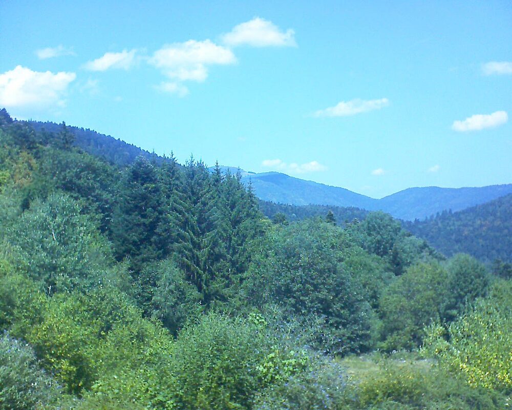 Le petit ballon (Alsace, Vosges) le 02.08.2026 à 13:45