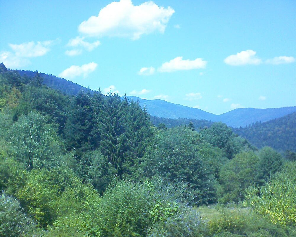 Le petit ballon (Alsace, Vosges) le 02.08.2026 à 14:15