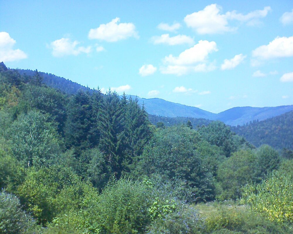 Le petit ballon vu depuis le Domaine Langmatt à Murbach le 02.08.2026 à 14:45 Le petit ballon (Alsace, Vosges) le 02.08.2026 à 14:45