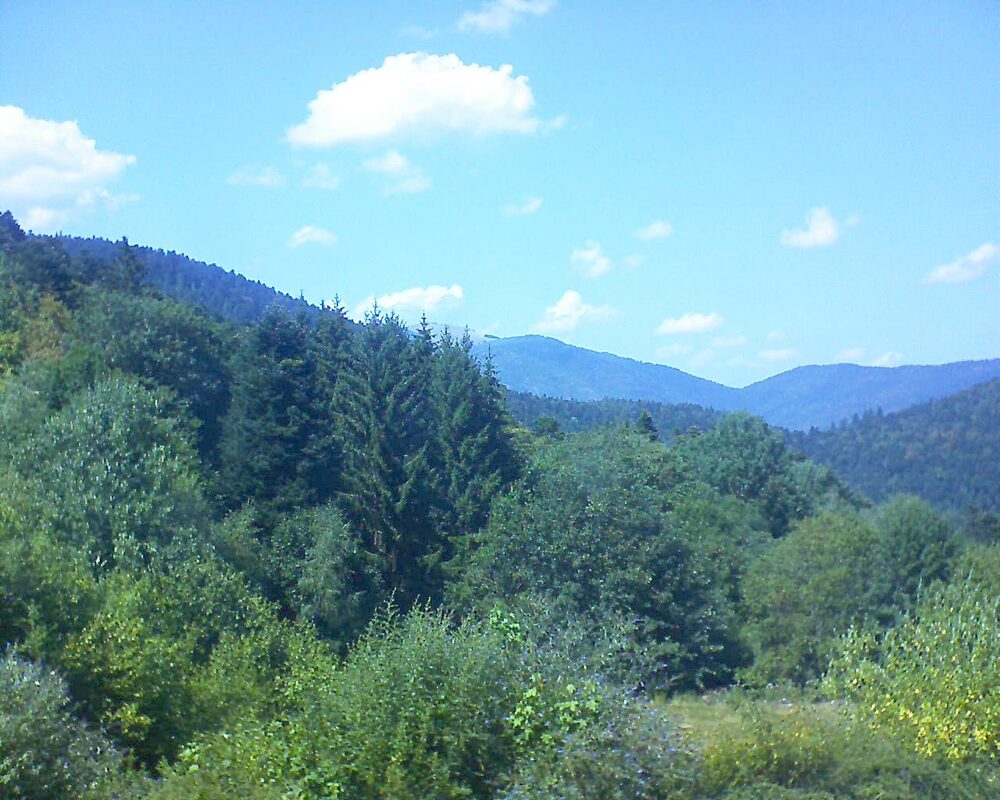 Le petit ballon (Alsace, Vosges) le 02.08.2026 à 15:15