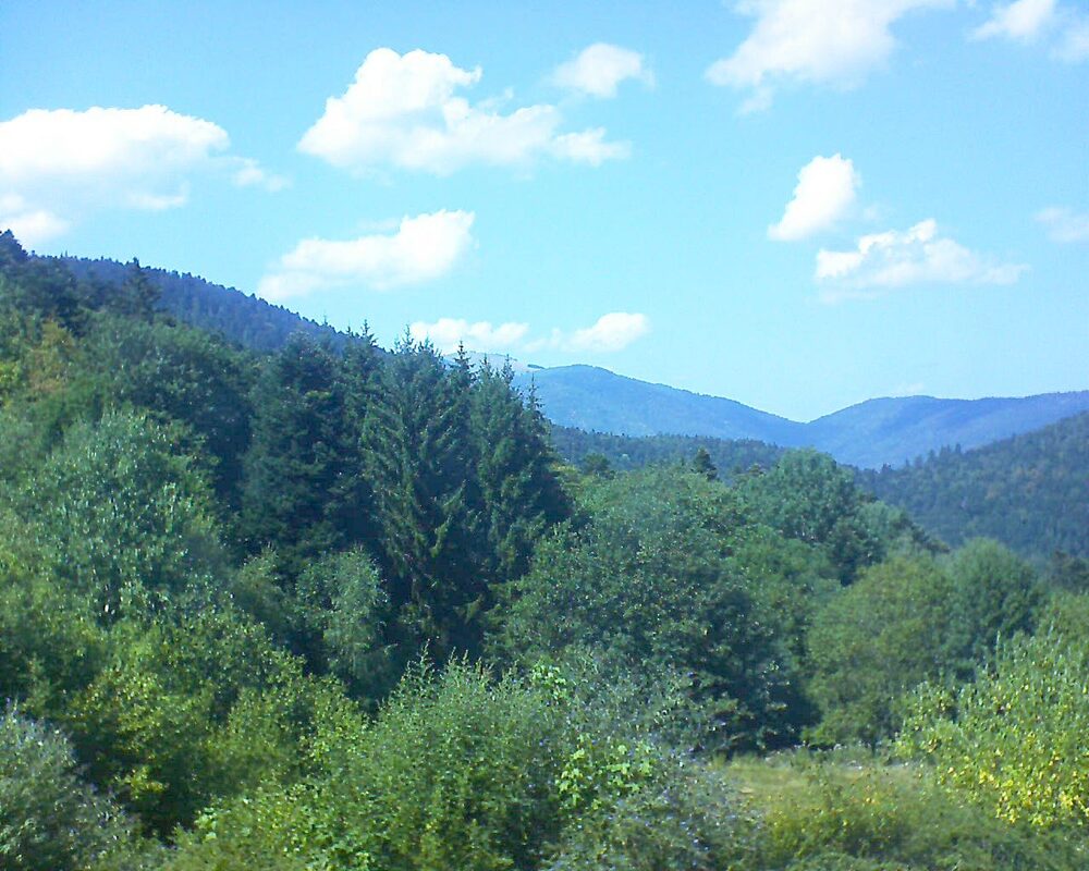 Le petit ballon (Alsace, Vosges) le 02.08.2026 à 15:30