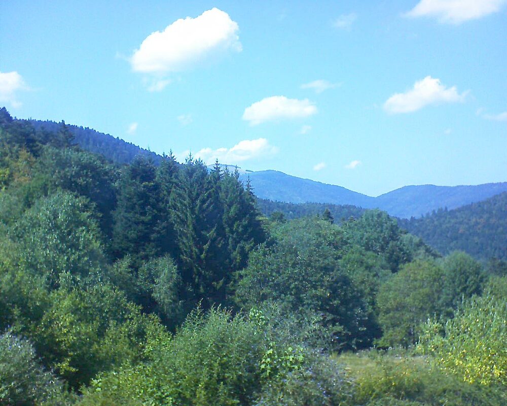 Le petit ballon (Alsace, Vosges) le 02.08.2026 à 15:45
