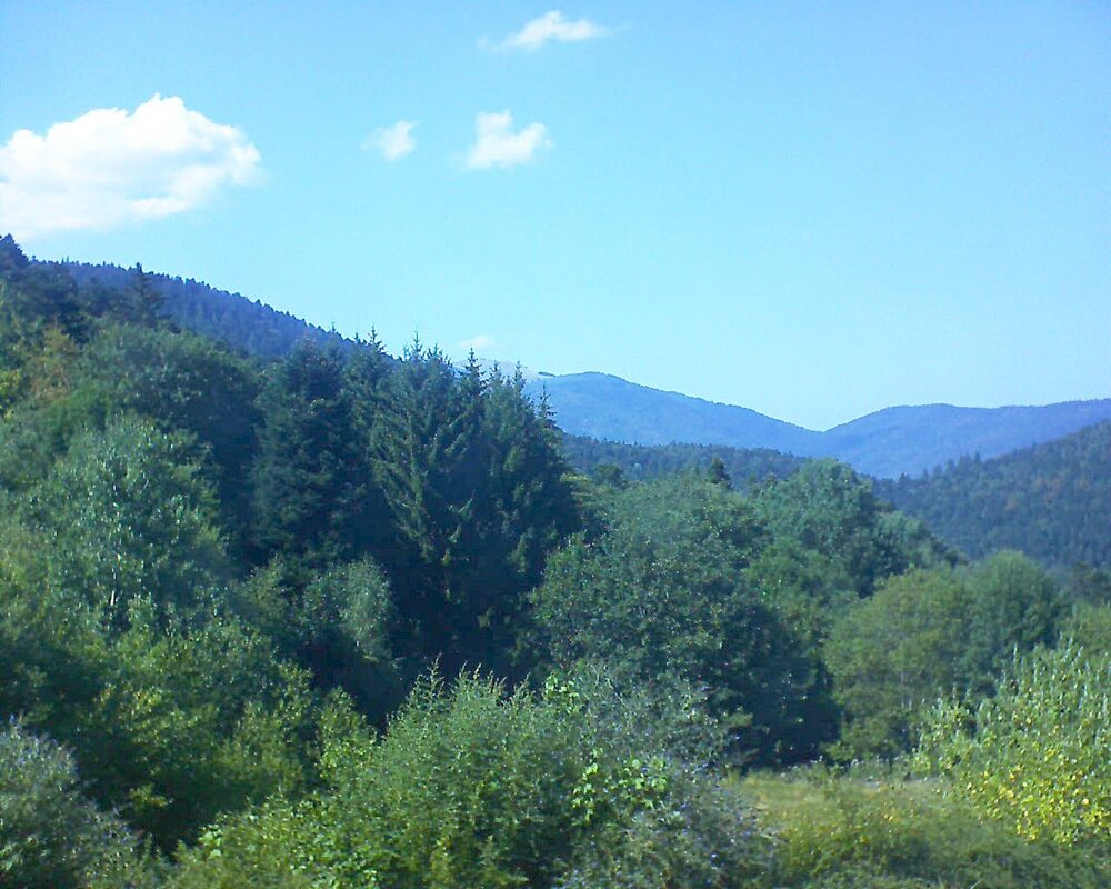 Le petit ballon (Alsace, Vosges) le 02.08.2026 à 16:15