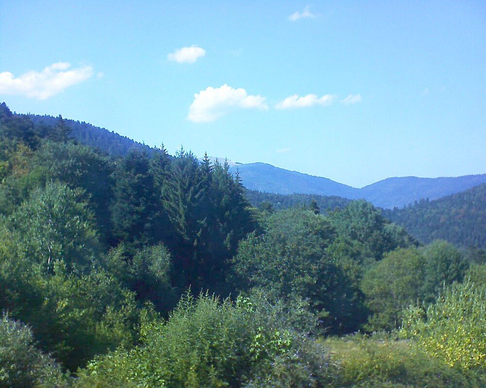 Le petit ballon (Alsace, Vosges) le 02.08.2026 à 16:30