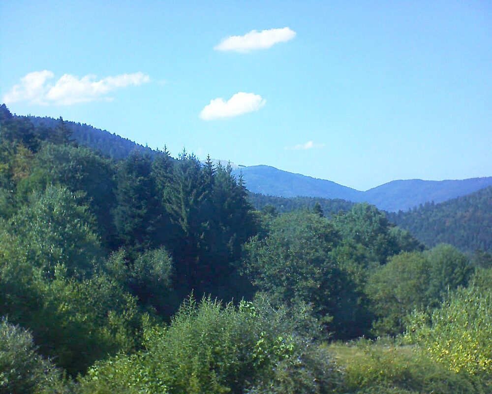 Le petit ballon (Alsace, Vosges) le 02.08.2026 à 16:45