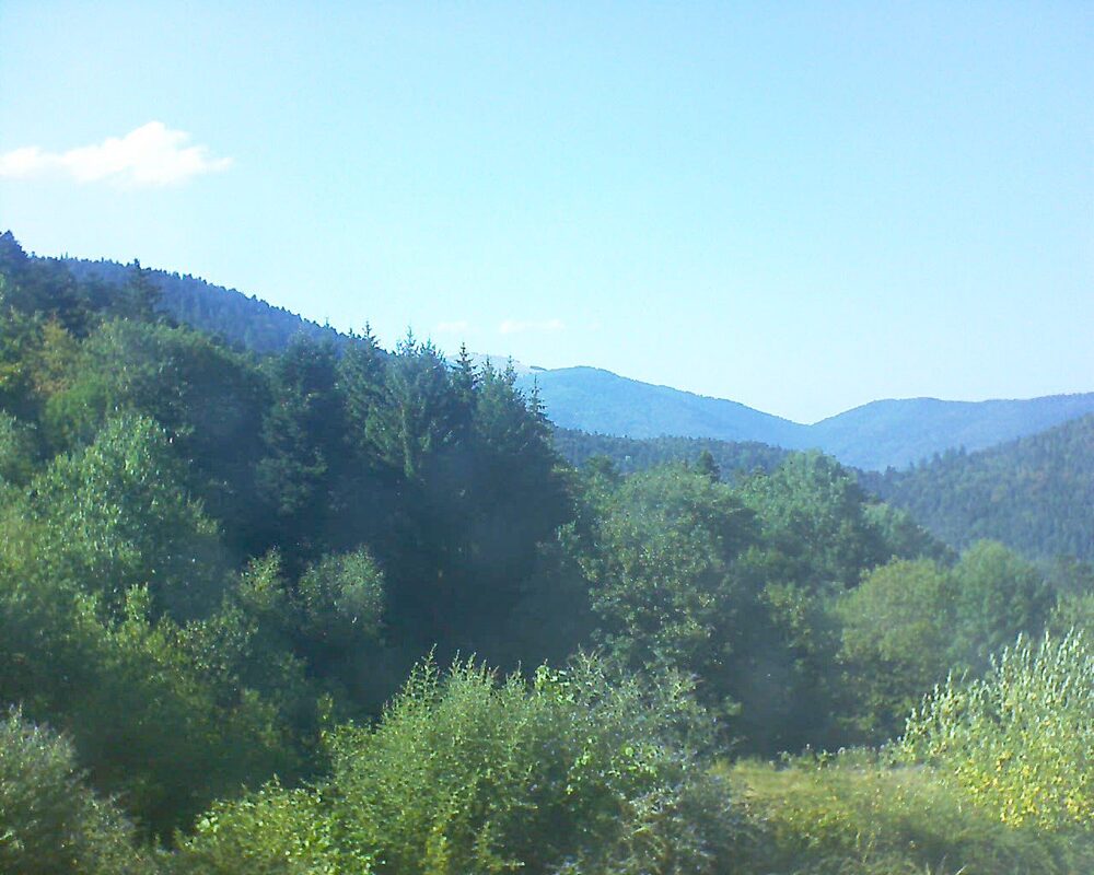 Le petit ballon (Alsace, Vosges) le 02.08.2026 à 17:30