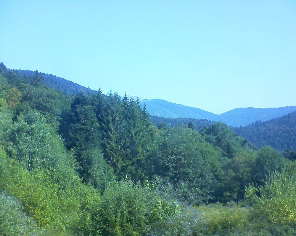 Le petit ballon vu depuis le Domaine Langmatt à Murbach le 03.08.2026 à 10:30 Le petit ballon (Alsace, Vosges) le 03.08.2026 à 10:30