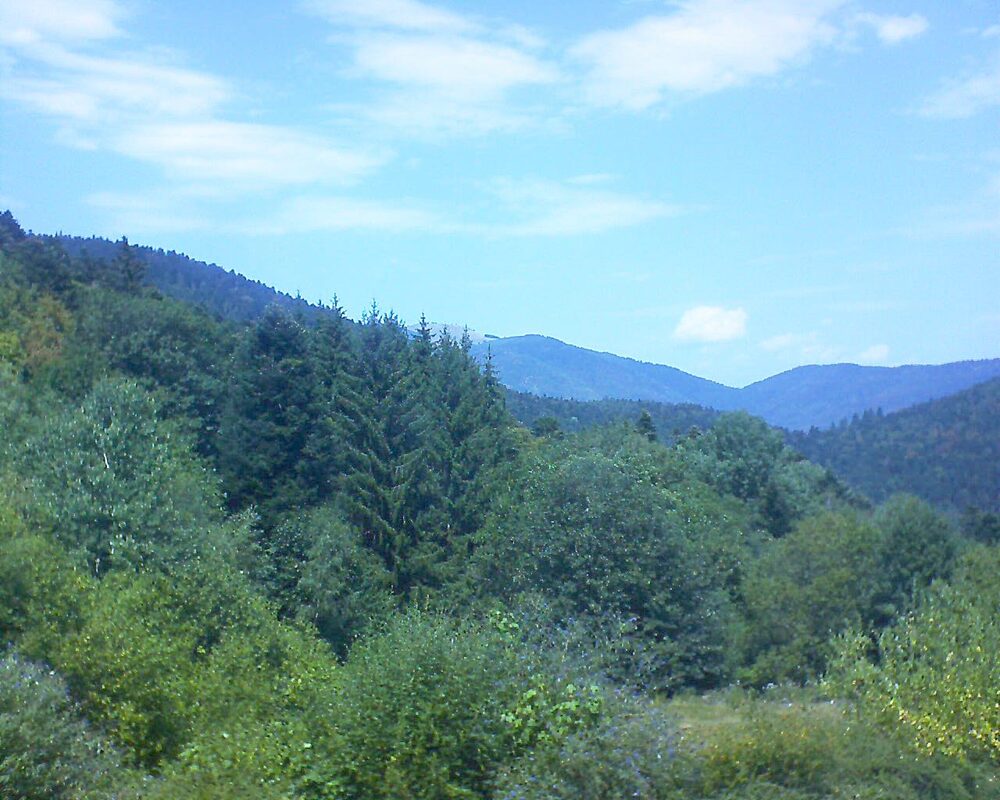 Le petit ballon vu depuis le Domaine Langmatt à Murbach le 03.08.2026 à 13:45 Le petit ballon (Alsace, Vosges) le 03.08.2026 à 13:45