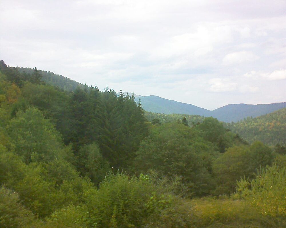 Le petit ballon vu depuis le Domaine Langmatt à Murbach le 03.08.2026 à 15:30 Le petit ballon (Alsace, Vosges) le 03.08.2026 à 15:30