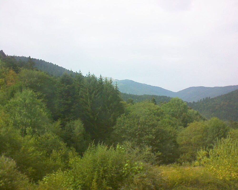 Le petit ballon vu depuis le Domaine Langmatt à Murbach le 03.08.2026 à 16:30 Le petit ballon (Alsace, Vosges) le 03.08.2026 à 16:30