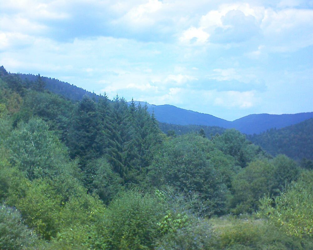 Le petit ballon (Alsace, Vosges) le 04.08.2026 à 13:30
