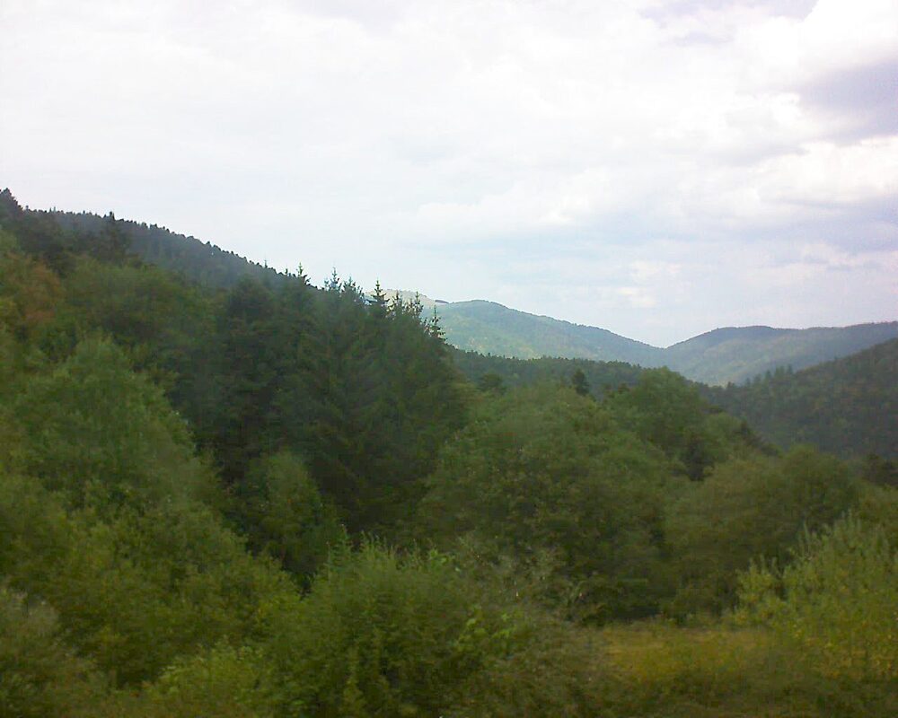 Le petit ballon (Alsace, Vosges) le 04.08.2026 à 15:30