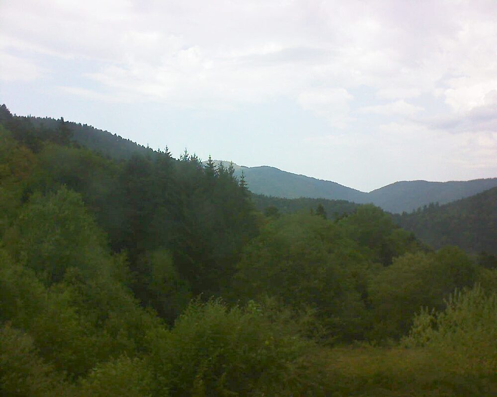 Le petit ballon (Alsace, Vosges) le 04.08.2026 à 16:15