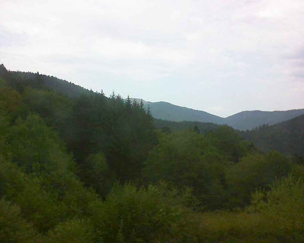 Le petit ballon (Alsace, Vosges) le 04.08.2026 à 16:30