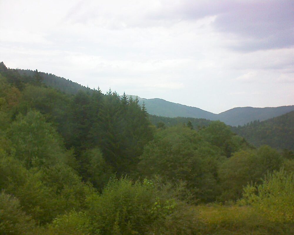 Le petit ballon (Alsace, Vosges) le 04.08.2026 à 16:45