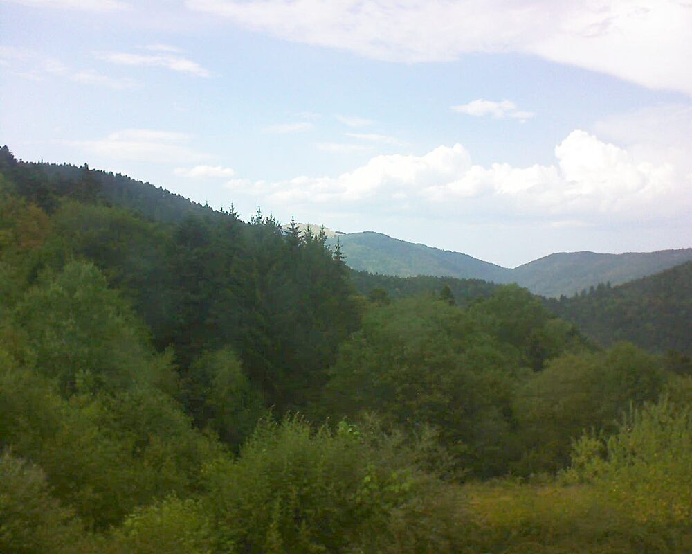 Le petit ballon (Alsace, Vosges) le 04.08.2026 à 17:30