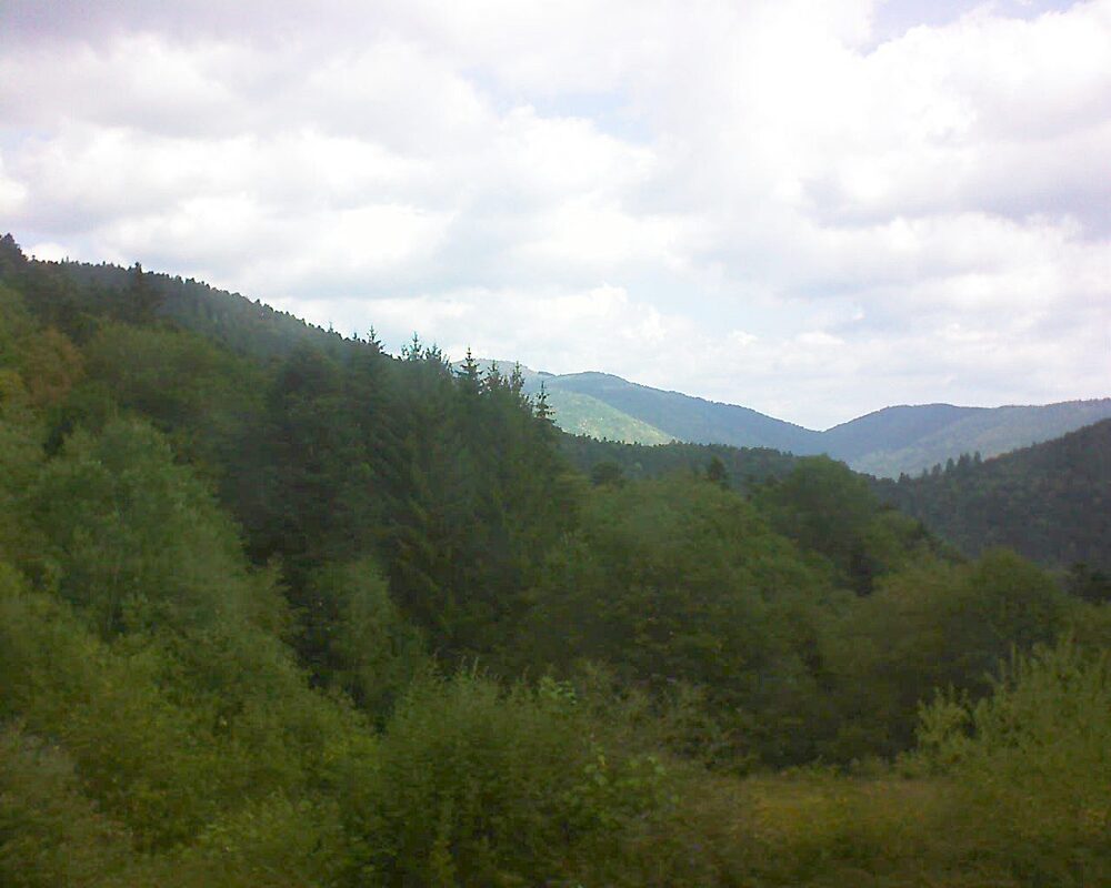 Le petit ballon (Alsace, Vosges) le 05.08.2026 à 10:30