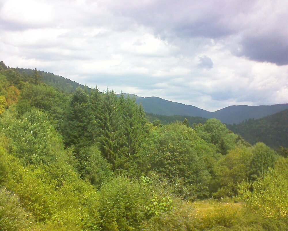 Le petit ballon (Alsace, Vosges) le 05.08.2026 à 12:30