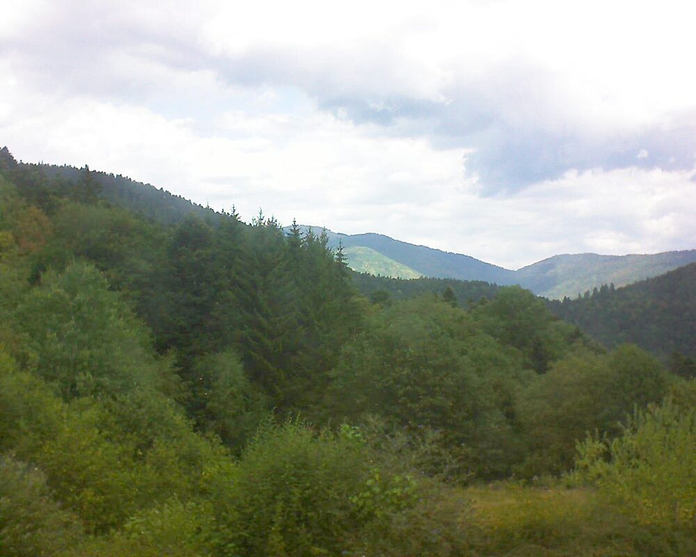 Le petit ballon (Alsace, Vosges) le 05.08.2026 à 13:15