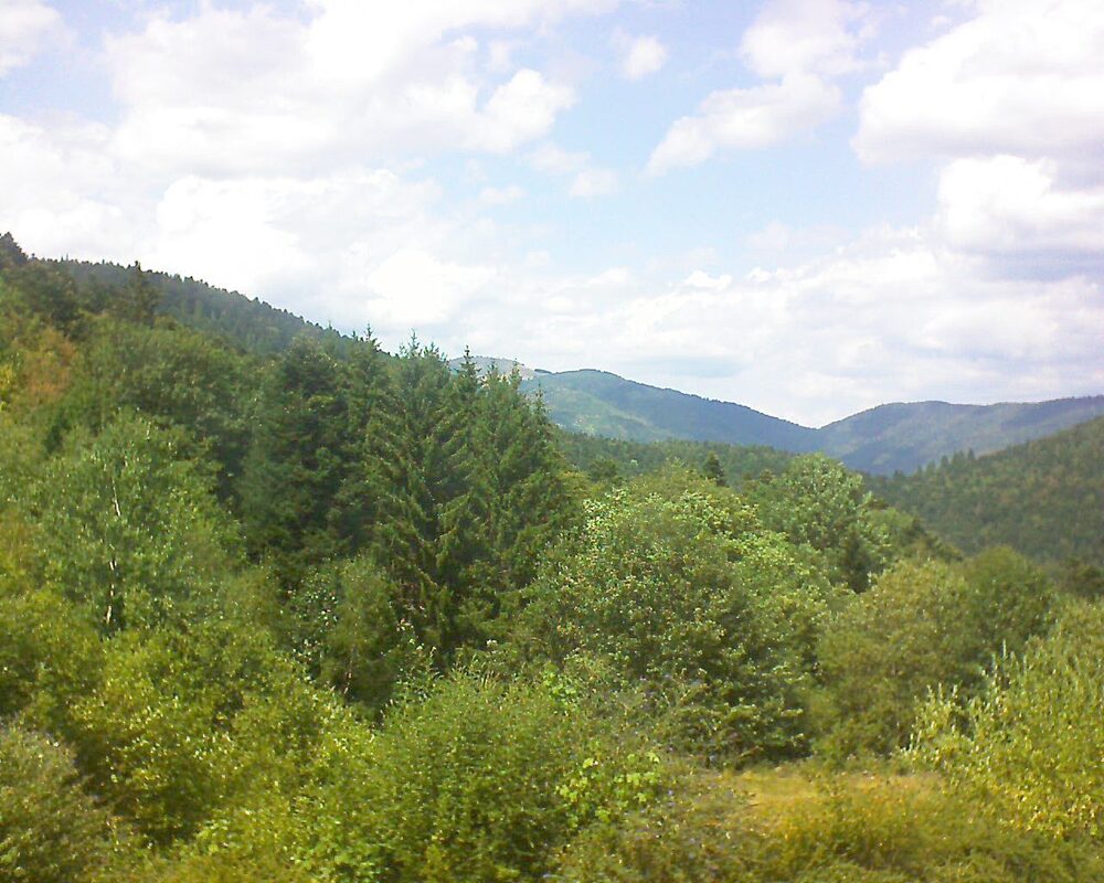 Le petit ballon (Alsace, Vosges) le 05.08.2026 à 14:30